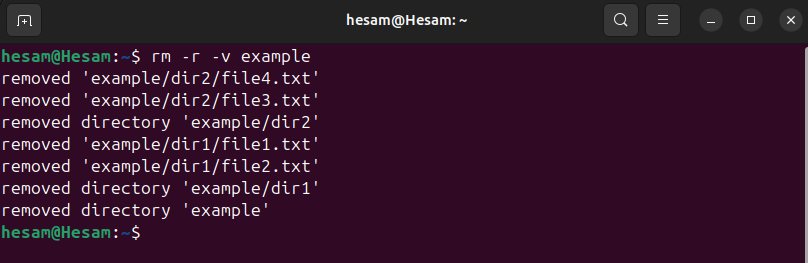 remove directory recursive linux